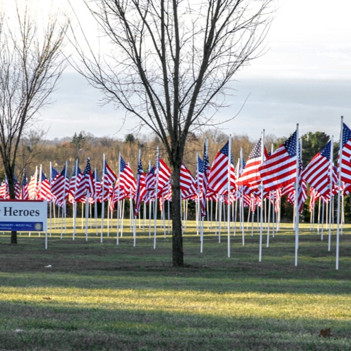 Flags For Heroes